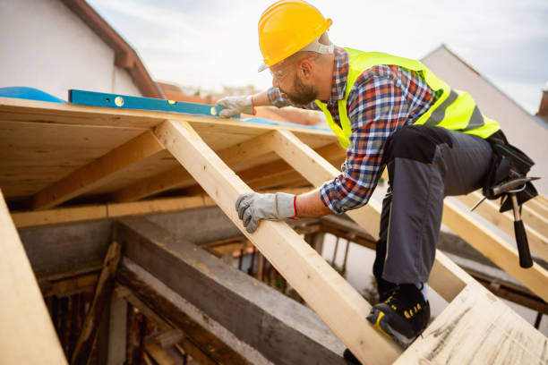 Best Roof Gutter Cleaning  in Litchfield, IL