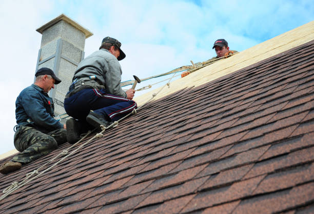 Best Flat Roof Repair Services  in Litchfield, IL