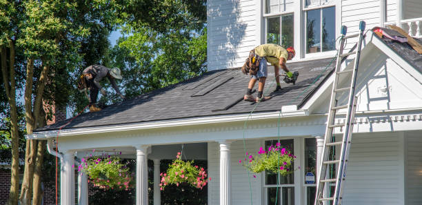 Roof Gutter Cleaning in Litchfield, IL