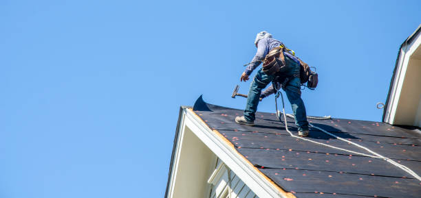 Best Roof Gutter Cleaning  in Litchfield, IL